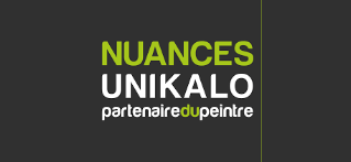 Bati Renov Solutions 56 Plaquiste Auray Groupe 19157
